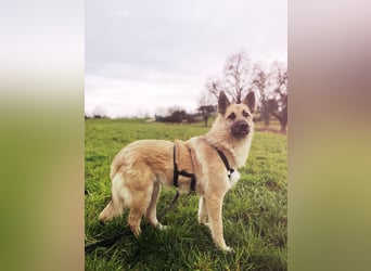 Eine echte Seele, auf der Suche nach ihren Seelens-Menschen!