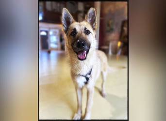 Eine echte Seele, auf der Suche nach ihren Seelens-Menschen!