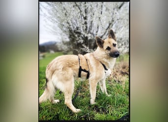 Eine echte Seele, auf der Suche nach ihren Seelens-Menschen!