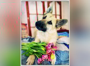 Eine echte Seele, auf der Suche nach ihren Seelens-Menschen!