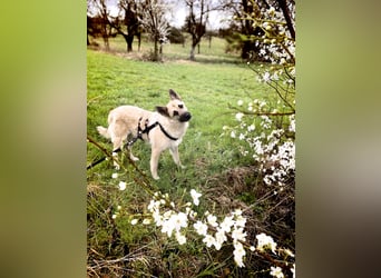 Eine echte Seele, auf der Suche nach ihren Seelens-Menschen!