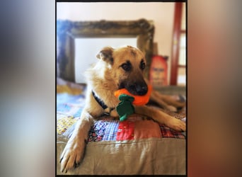 Eine echte Seele, auf der Suche nach ihren Seelens-Menschen!