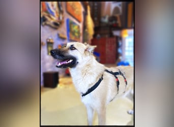 Eine echte Seele, auf der Suche nach ihren Seelens-Menschen!