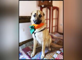 Eine echte Seele, auf der Suche nach ihren Seelens-Menschen!