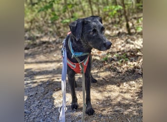 Alva sucht ein neues Zuhause