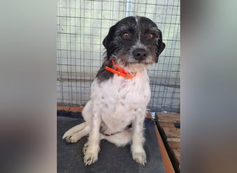 Cara wünscht sich ein Zuhause