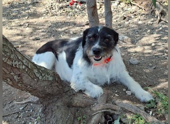 Cara wünscht sich ein Zuhause