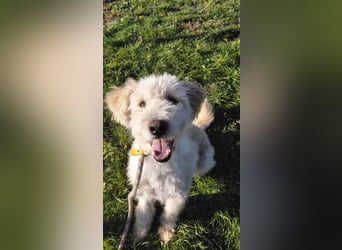 Tino sucht seine Menschen