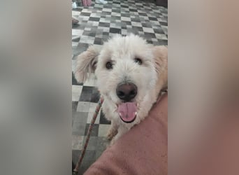 Tino sucht seine Menschen