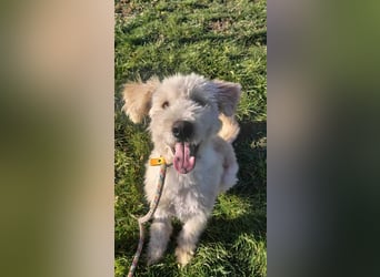 Tino sucht seine Menschen