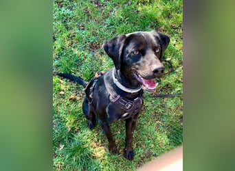 Süßer Zagi ( * 02 / 2022 ) sucht seine Menschen