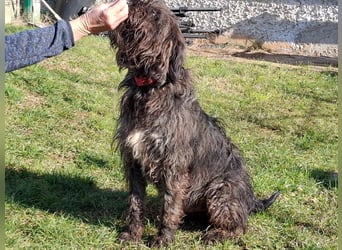 Freundlicher Ezra ( * 04/2024 ) sucht seine Familie