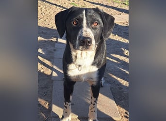 Süßer Leni ( * 12.2024 ) sucht seine Familie