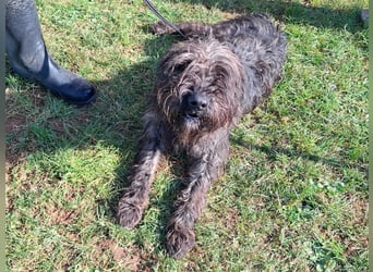 Freundlicher Ezra ( * 04/2024 ) sucht seine Familie