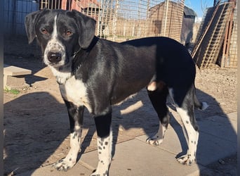 Süßer Leni ( * 12.2024 ) sucht seine Familie