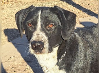 Süßer Leni ( * 12.2024 ) sucht seine Familie