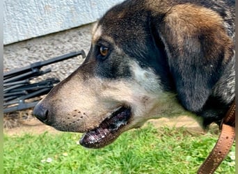 Freundliche Irulan ( * 07/2022 ) sucht ihre Familie