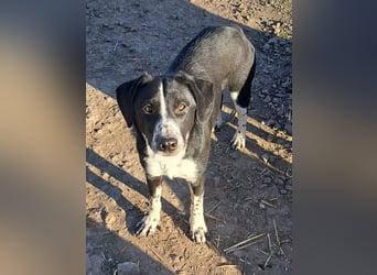 Süßer Leni ( * 12.2024 ) sucht seine Familie