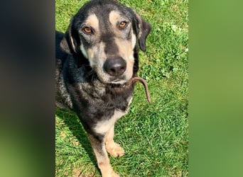 Freundliche Irulan ( * 07/2022 ) sucht ihre Familie