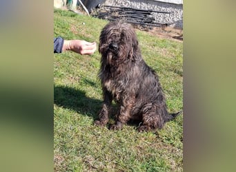 Freundlicher Ezra ( * 04/2024 ) sucht seine Familie