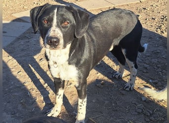 Süßer Leni ( * 12.2024 ) sucht seine Familie