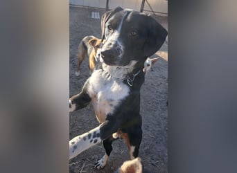 Süßer Leni ( * 12.2024 ) sucht seine Familie