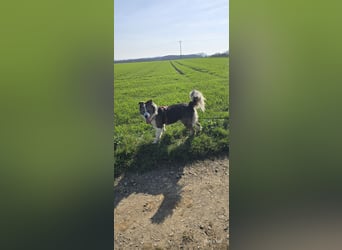 Jenna geschundene Seele  sucht ein Zuhause