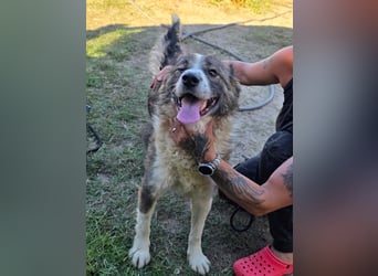 Jenna geschundene Seele  sucht ein Zuhause