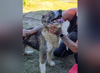 Jenna geschundene Seele  sucht ein Zuhause