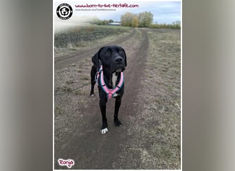 Bildhübsche Ronja sucht ein Zuhause für immer