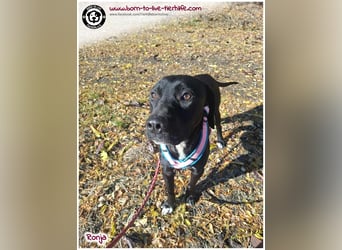 Bildhübsche Ronja sucht ein Zuhause für immer