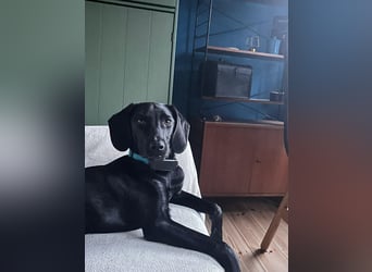 Juni - lebensfroh&aktiv