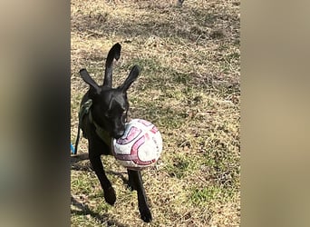 Juni - lebensfroh&aktiv