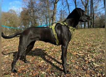 Juni - lebensfroh&aktiv