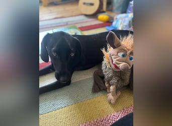 Juni - lebensfroh&aktiv