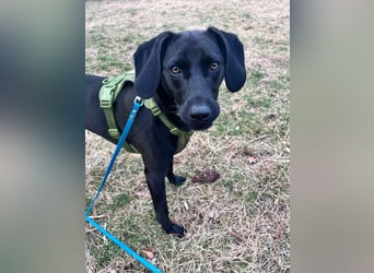 Juni - lebensfroh&aktiv