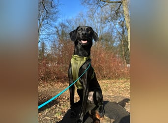 Juni - lebensfroh&aktiv