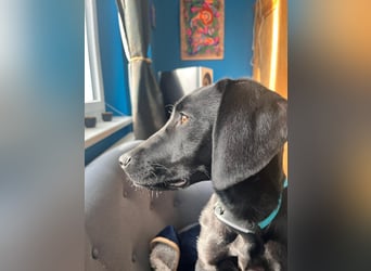 Juni - lebensfroh&aktiv