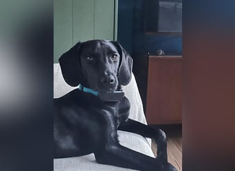 Juni - lebensfroh&aktiv