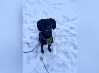 Juni - lebensfroh&aktiv