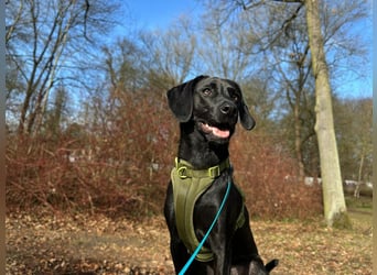 Juni - lebensfroh&aktiv