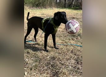 Juni - lebensfroh&aktiv