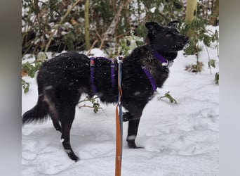 Whoopi - hat ein großes Herz