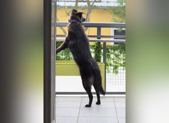 Whoopi - hat ein großes Herz