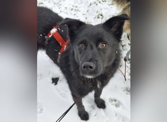 Whoopi - hat ein großes Herz