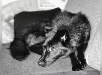 Whoopi - hat ein großes Herz