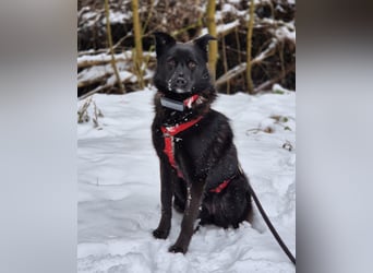 Whoopi - hat ein großes Herz