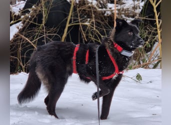 Whoopi - hat ein großes Herz