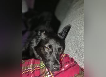 Whoopi - hat ein großes Herz