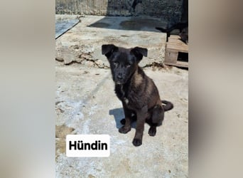 Whoopi - hat ein großes Herz